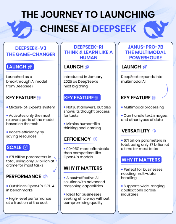 DeepSeek Infographic